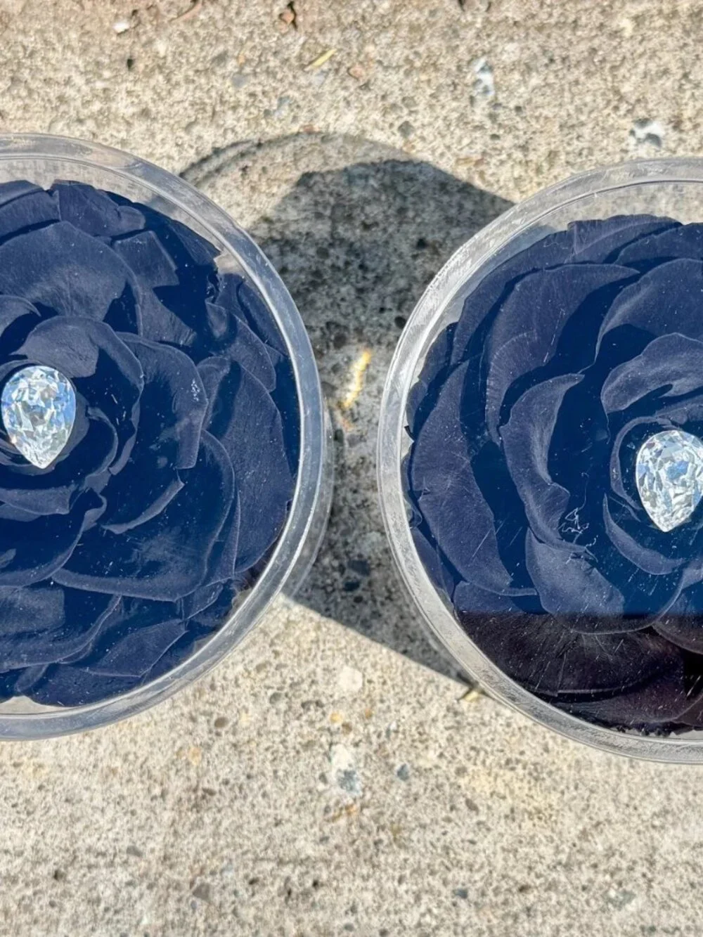 La Fleur Black Preserved Rose Acrylic Display Set of 2 Crystal Rhinestone Decor